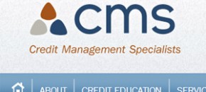 Credit Management Specialists WordPress Development
